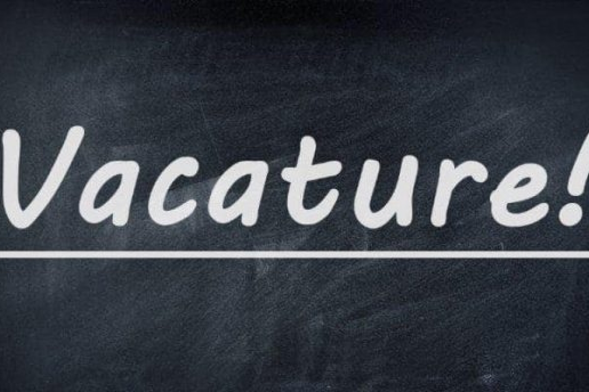 Vacature Team Assist 