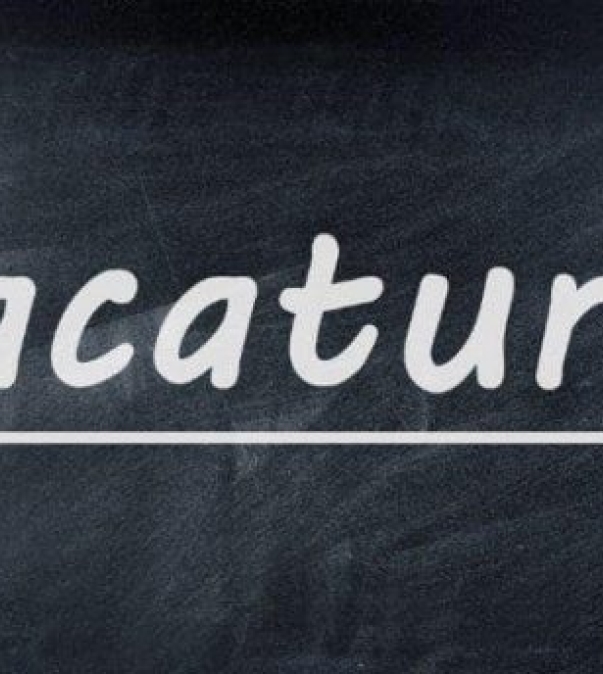 Vacature Team Assist 